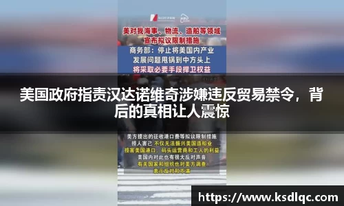 美国政府指责汉达诺维奇涉嫌违反贸易禁令，背后的真相让人震惊